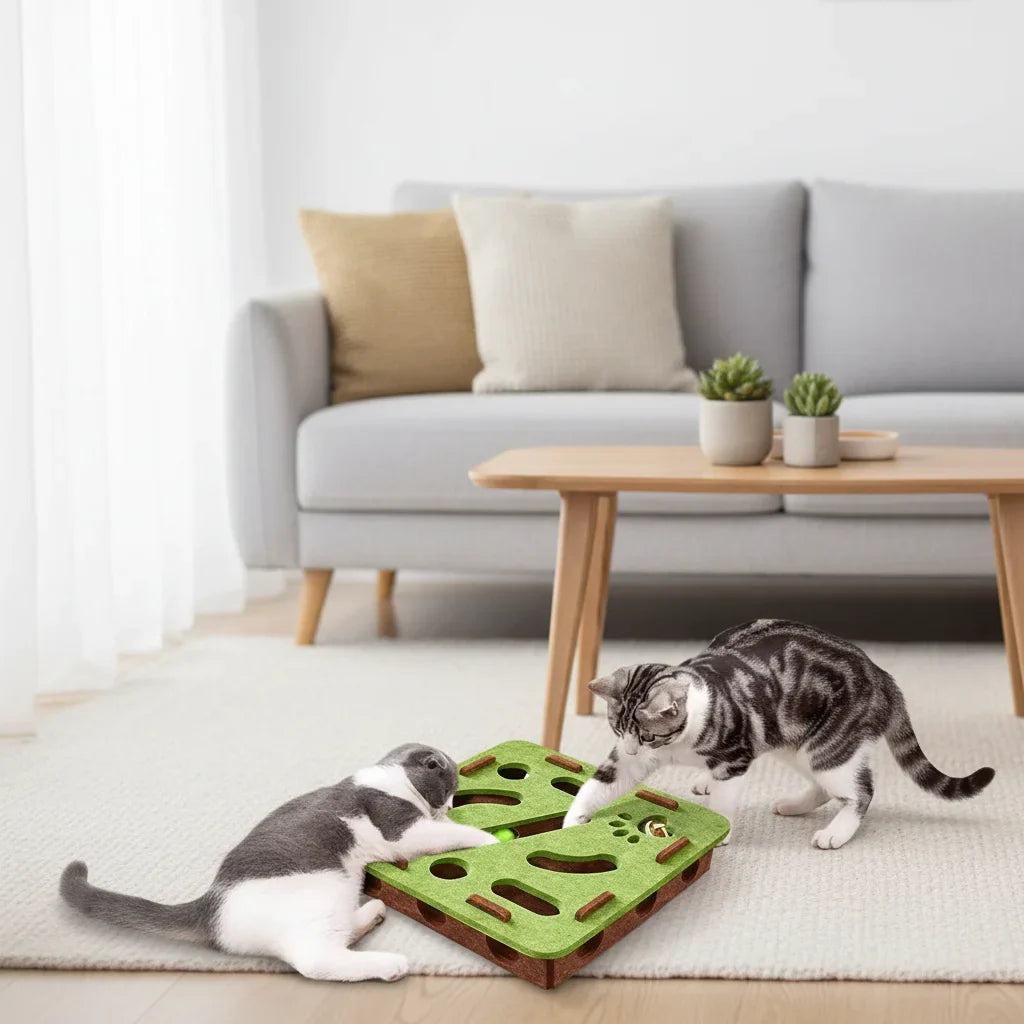 Jouet puzzle interactif pour chat