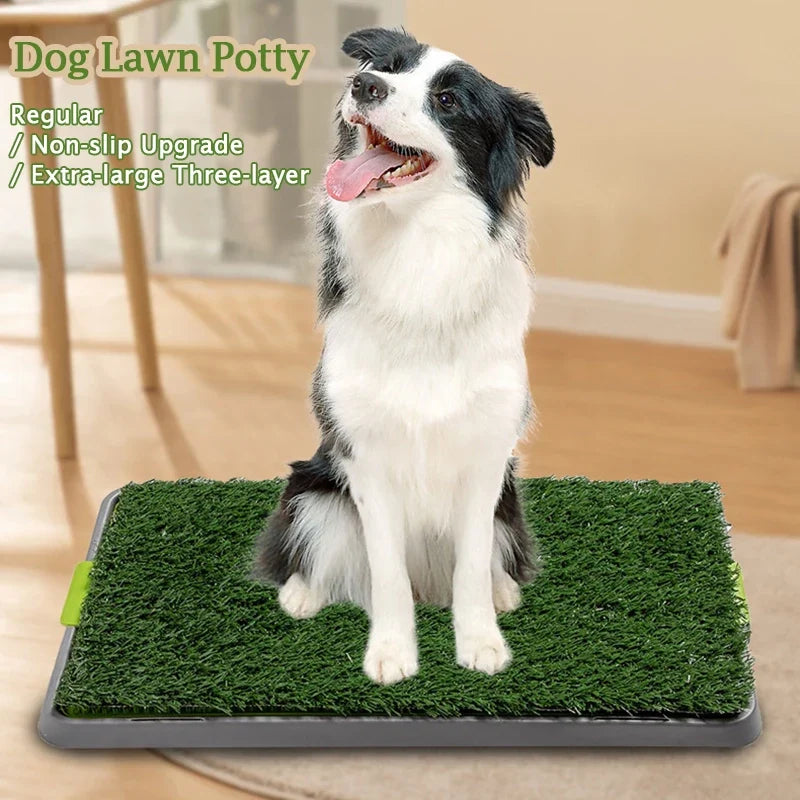 Toilettes pour chien et apprentissage - vue 5