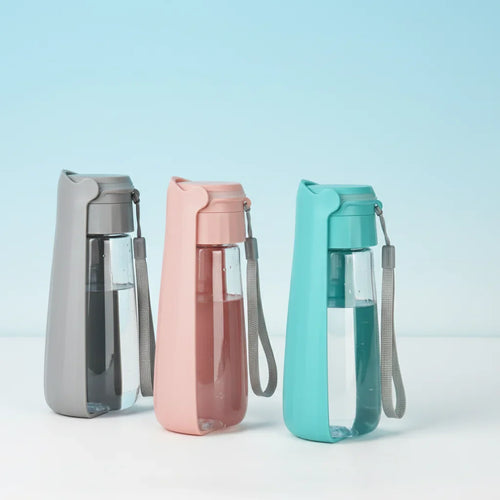 Gourde d'eau portable pour chien et chat en promenade