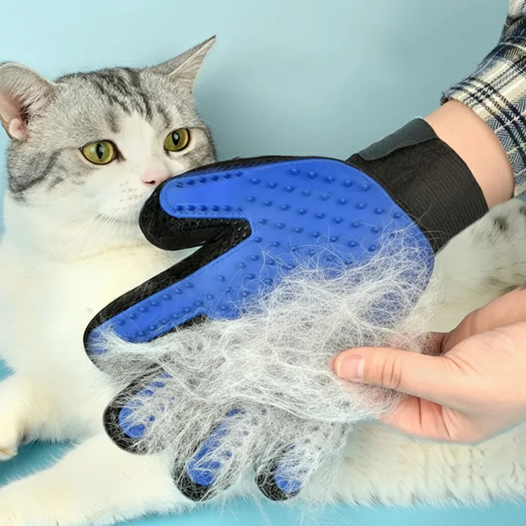 Gants de toilettage en silicone pour chien et chat