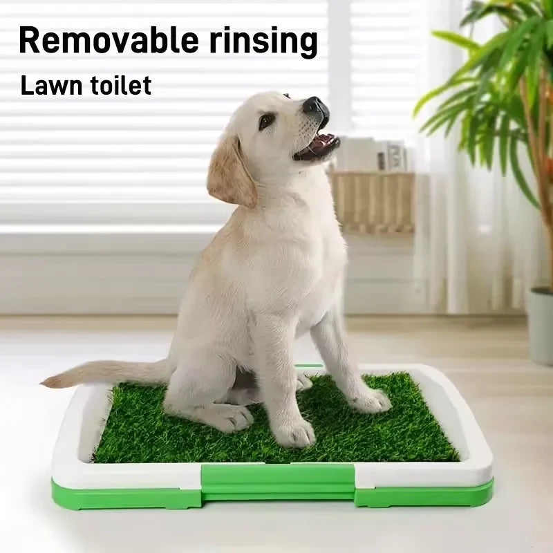 Toilettes pour chien et apprentissage - vue 4